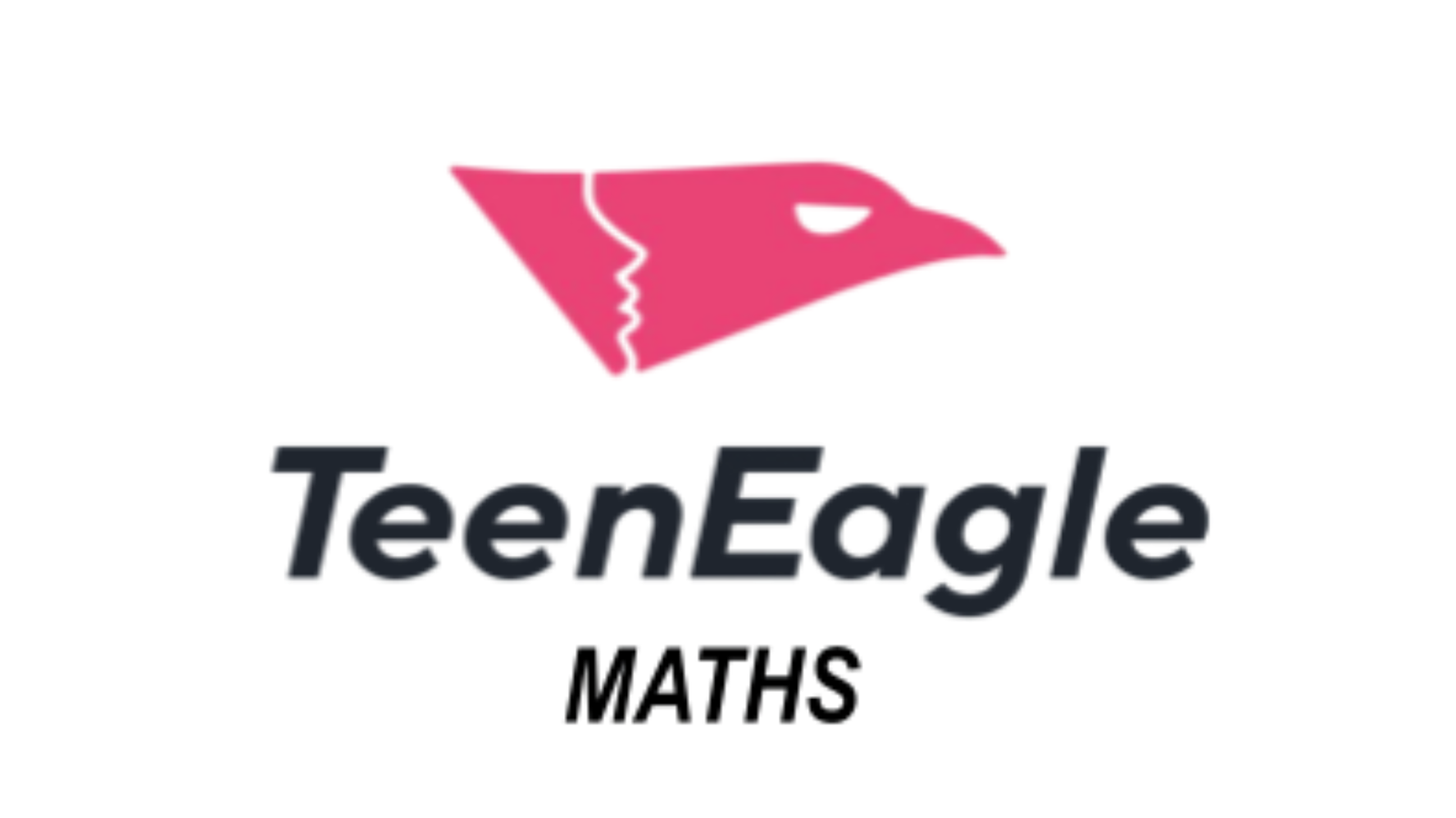 Logo TeenEagle Math